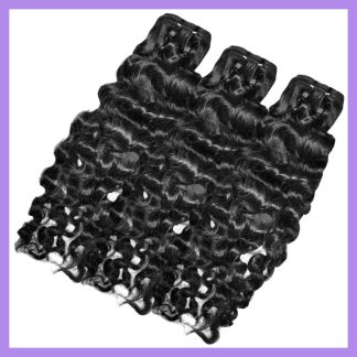 Burmese Curly Combo Bundle Deals